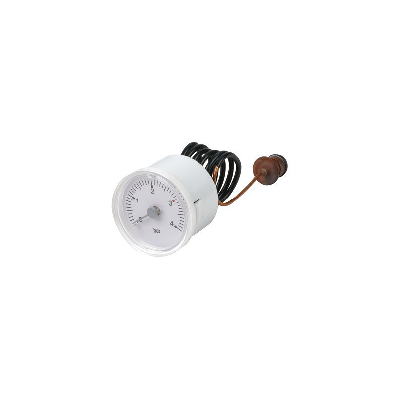 Manothermometer- RIELLO - 4364942