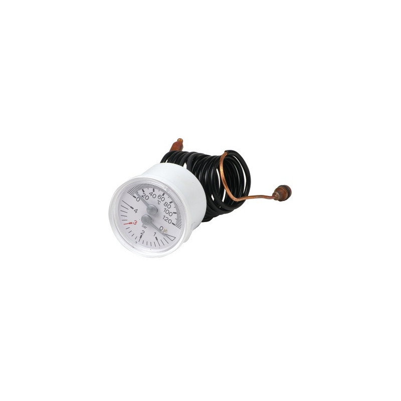 Manothermometer- RIELLO - 4365356