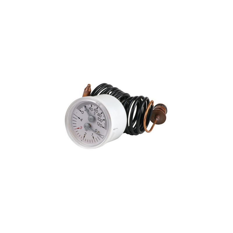 Manothermometer- RIELLO - 4365359
