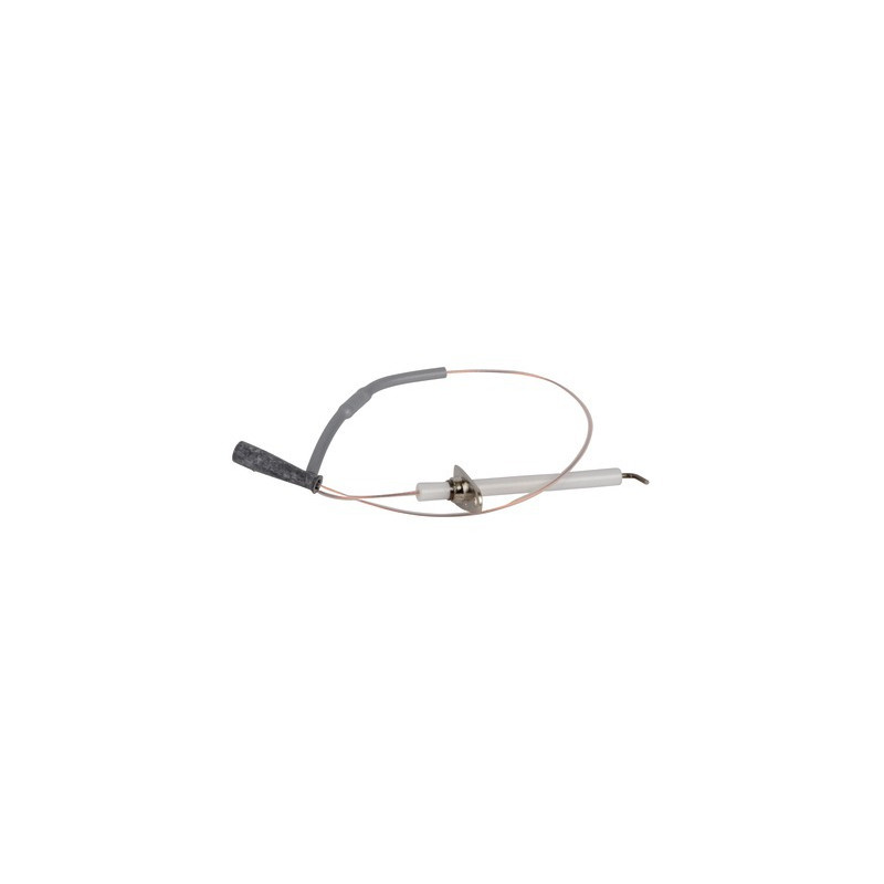 Ignition / flame sensing electrode- RIELLO - 4365700