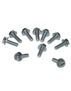 Lot vis vis m 6x20 thfcol(x10)- FRISQUET - F3AA41511  - (X10)