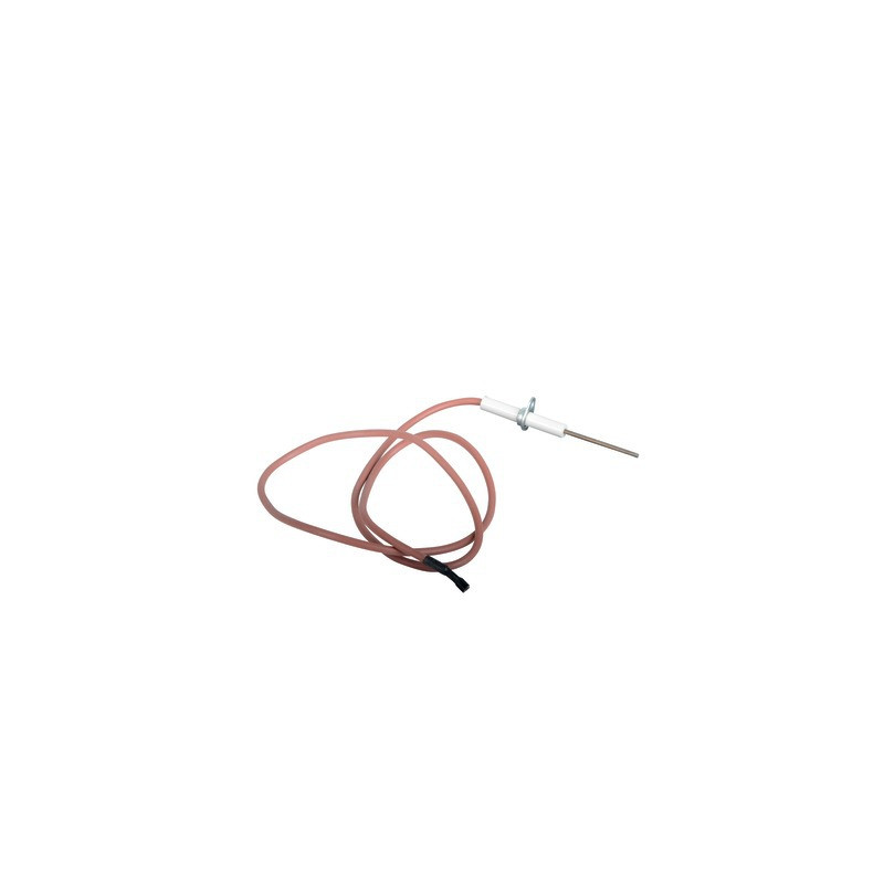 Electrode ionisat.avec cable- CHAPPEE - JJJ008620290
