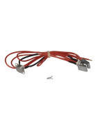 Beam with cmv+ overheating- SAUNIER DUVAL - S1226700