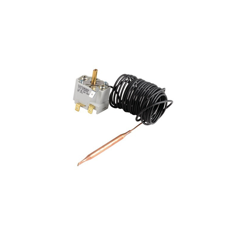 Thermostat RAK51.41.81- CHAPPEE - S17007037