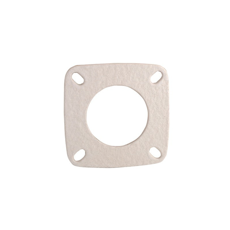 Front plate gasket- CHAPPEE - S58390115
