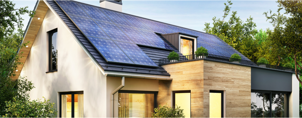 The French Sustainable Development Tax Credit Reform