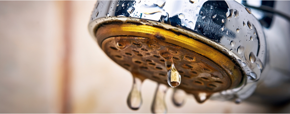 Descale the Domestic Hot Water Circuits
